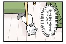 【漫画】愛猫が椅子の脚の下敷きに！　実際の写真に「これはビビる」「イリュージョン…」【作者インタビュー】