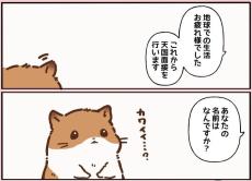 【漫画】「飼い主さんはどんな人でしたか？」虹の橋に来たハムスターの「天国面接」が泣ける【作者インタビュー】