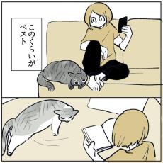 【漫画】飼い主と愛猫の”このくらいがいい”距離感にキュン！「素直じゃないんだから」【作者インタビュー】