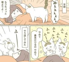 【漫画】猫が鼻息攻撃をしてくる…やり返してみたら？　思わぬ反応に2万人「吹き出した！」【作者インタビュー】