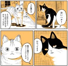 【漫画】生きるために…罠に飛び込む野良猫　厳しい世界を描いた作品に「泣ける」