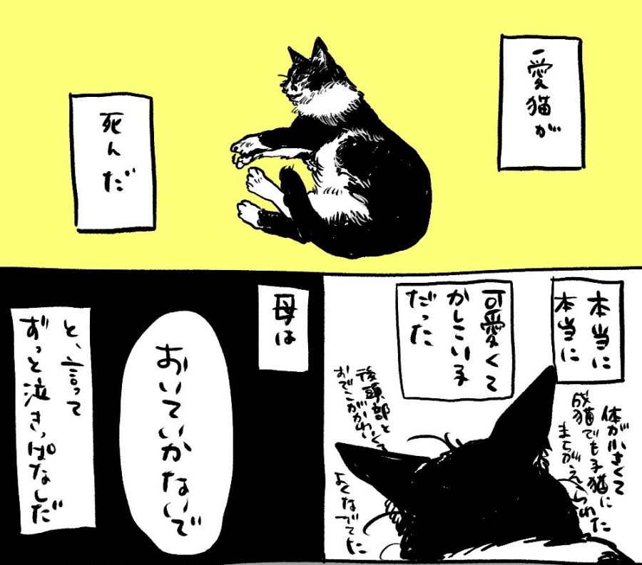 【漫画】愛猫の死を悲しむ家族 留守中世話に来ていた、姿の見えない「彼女」も涙？｜Infoseekニュース