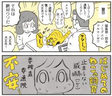 『茶トラのやっちゃん』威嚇してくる保護猫、本当になつく？思いを作者に聞く