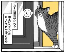 何かを見つけると飼い主を呼ぶ愛猫　理由はいったい…？　手を伸ばしてみると