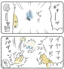 【漫画】Gが出現、退治するも…柴犬「パキッ」食べたーッ！？　結末に笑える！