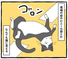 見たものを「猫？」と錯覚してしまう…　もしこのまま悪化したら？