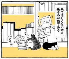 来てほしい時には来ないのが、猫…　もっと好かれるにはどうしたら？