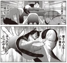 【漫画】No.1ホストが猫に転生！「テッペンとってやる」しかし社畜OLに拾われ…