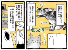 憧れの”猫が住みやすい家”　キャットウォーク、バルコニー…「何か足りない」