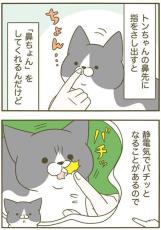 猫の鼻に指を近づけたらバチッ！　静電気対策を考えた猫「賢い」「かわいい」