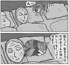 寝る前の猫、飼い主にくっついて？　布団の上での「幸せな時間」にほっこり！