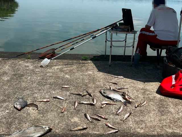 釣った魚を地面に放置…マナーの悪い釣り客に地元の漁師ブチ切れ　その胸に秘めた切なる願い「魅力ある霞ヶ浦を伝えたい」