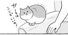 【漫画】猫にソファを譲られたけど…「猫あるあるすぎw」「どこの家でも同じですね」