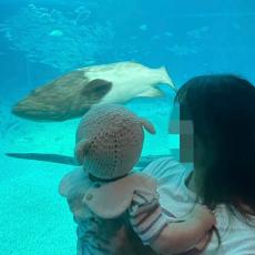 水族館で息子と2ショット、夫が撮った写真を見返して驚愕！ 体がすごいことに「王騎将軍も腰抜かすわ」経験者が続々と登場