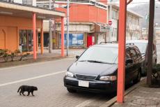 「駐車」と「停車」の違い、正しく理解していますか　「5分以内なら駐車にならない」「エンジンがかかっていれば停車」は誤解です