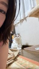 猛暑で「猫もまだ全力で行き倒れてる」手足ぴーんとバタン「滑り込みセーフ」「マット敷いたの誰～？」