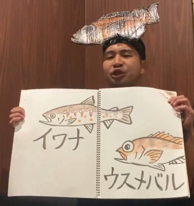 「これは呪術海鮮」呪術廻戦テーマ曲、魚で替え歌　さかな芸人が紙芝居芸「イワナウスメバル♪」本家メンバー歓喜