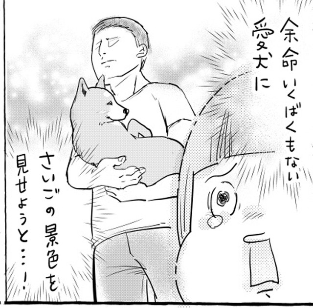 【漫画】信号待ちで抱っこされる犬…「具合悪いの！？」とドキドキしていたら「柴犬かな、柴犬だろうな」