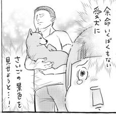 【漫画】信号待ちで抱っこされる犬…「具合悪いの！？」とドキドキしていたら「柴犬かな、柴犬だろうな」