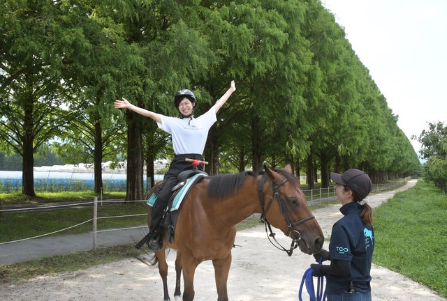 滋賀の人気スポット・メタセコイア並木で乗馬体験　引退競走馬を支援しながら楽しむ新レジャー