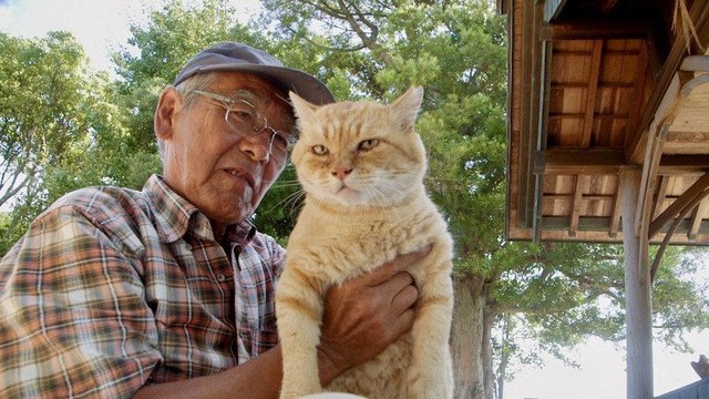 「野良猫さまの多い町は良い町」…瀬戸内の猫がつどう神社を舞台に描かれる「共生の知恵」とは　映画『五香宮の猫』監督に聞いた