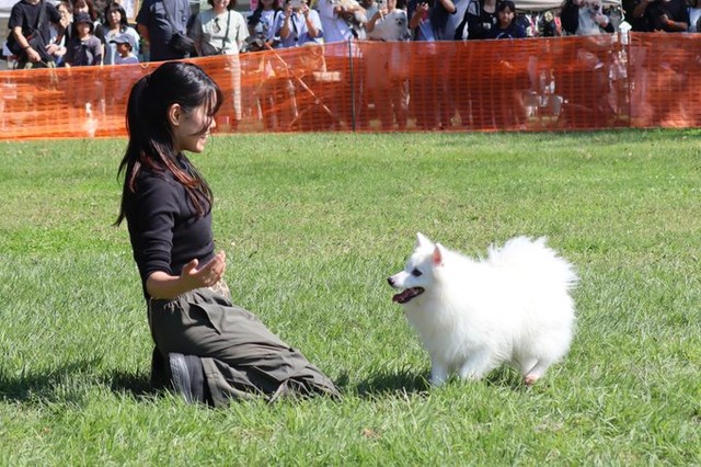 ジャンプにターン…飼い主の動きを真似る犬さんに「賢すぎます」「とにかく大好きが伝わってくる」