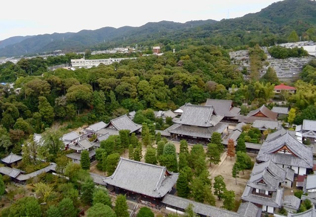 「重要文化財だらけなのにいつも空いてる」京都の寺院が、アカウント名の変更を発表「まさか、公式に？」フォロワーざわつく