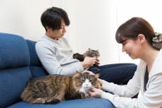 世帯年収が高くなるほど多く　ペットを飼う年収1000万円以上の世帯の6割が飼っているのは？