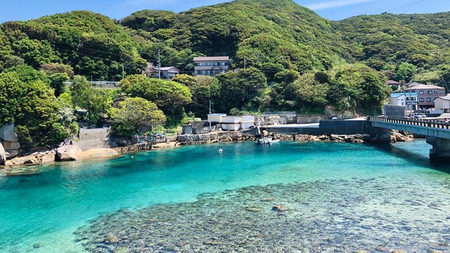 津波の際は「田中さんの畑」に逃げろ！？ 高知の避難場所の看板「田舎らしい」「どの田中さんなの」【役場に聞いた】