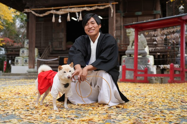 犬猫＆干支の「切り絵御朱印」が大人気！アイドル巫女犬シロちゃんが参拝客お出迎え　ペットの健康や幸せ願う　福岡・福島八幡宮