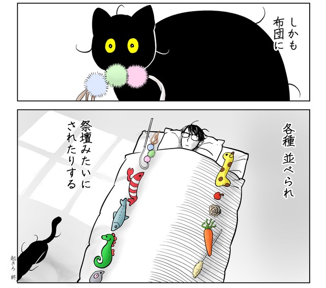 【漫画】布団の周りにおもちゃを並べ、寝起きには首に吸い付いてくる黒猫　懐かないけど愛情深い…筆坊ちゃんとの愉快な日常