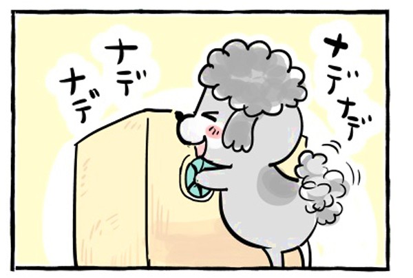 【漫画】亡くなった犬猫の「なでなでボックス」とは？→「ちゃんと届いてる…」「いっつもこのシリーズに泣かされる」