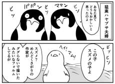 「ボクも速く飛べる？」「実はお前はスズメなんだよ」衝撃の事実にボケまくるヒナ　ハヤブサ夫妻の爆笑子育て漫画が4.3万いいね