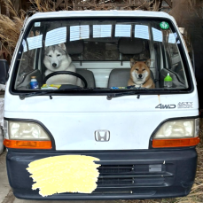 「ぜんぜん進みませんね…」→軽トラの運転手と助手席に「犬」！「表情がジワる」「柴犬がキレながらナビしてそう」