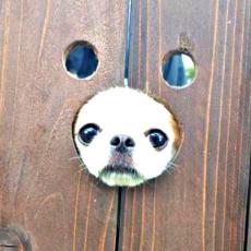 佐々木莉佳子＆上國料萌衣「新曲『アイノケダモノ』は、今の