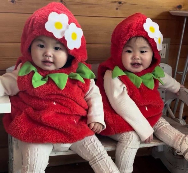 いちご畑をよちよち歩く、小さな双子のいちごちゃん「予約販売してませ