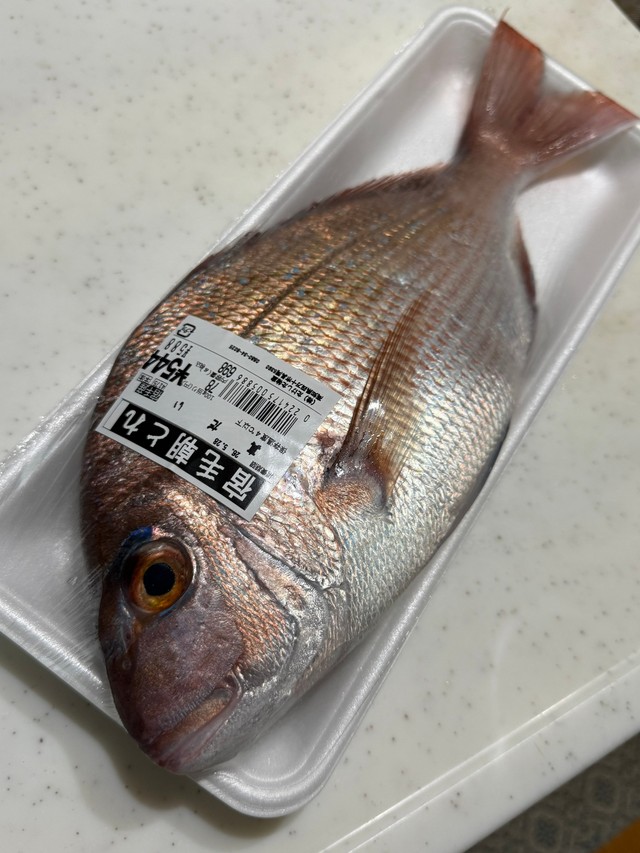 588円で買った鯛をプロ級の姿造りと刺身に 父の渾身の手料理に家族は