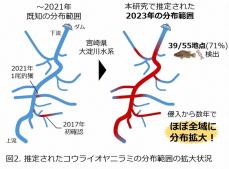外来種「コウライオヤニラミ」　宮崎で爆発的に増加　生態系脅威