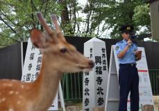 「神の使い」に暴行許さぬ　奈良のシカ蹴る動画拡散で県警パトロール