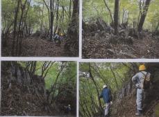 武甲山の絶滅危惧種、「消息不明」と判明　生育地で調査できず