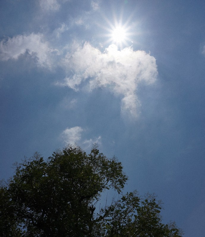 福岡・久留米で39.5度　県内観測史上最高タイ　猛暑続く見通し