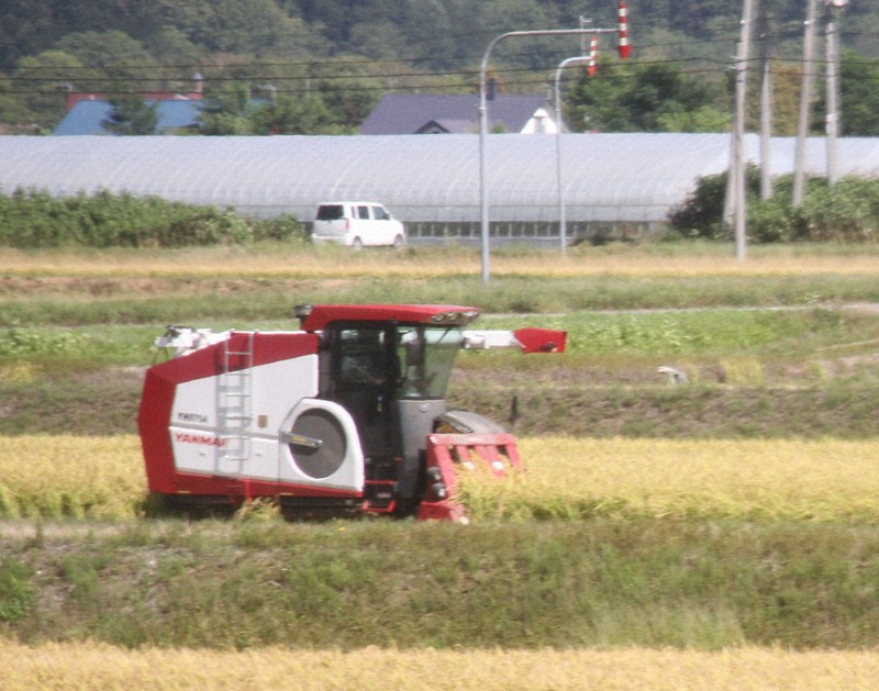 北海道内の小売店で新米販売へ　「ゆめぴりか」コメ不足解消に期待