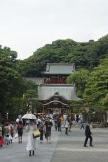 鶴岡八幡宮でやぶさめ練習中に落馬　男性が重体　16日の神事中止