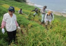 世界農業遺産「白米千枚田」でのり面崩落　能登地震からの復興半ばで