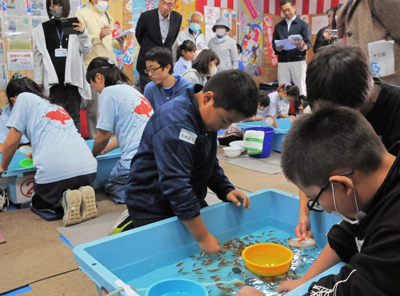 「ポイ」さばき巧みに　初の「金魚すくい甲子園」　北海道・旭川