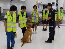 麻薬探知犬みな成田育ち　最強バディーへの道、まず「遊び」から