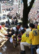 上げ馬神事で虐待か　動物愛護法違反容疑で12人書類送検　三重