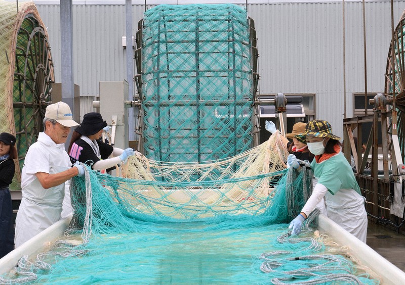 おむすびの「相棒」ノリの種付け始まる　生産日本一の兵庫県