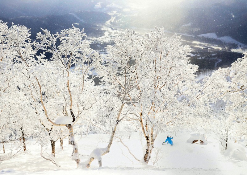 パウダースノーが「べちゃ雪」に?　温暖化でスキー場に打撃