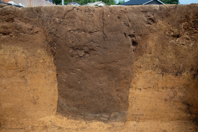 700年前の「トイレ」発見　土から野菜や寄生虫の卵　鹿児島の遺跡